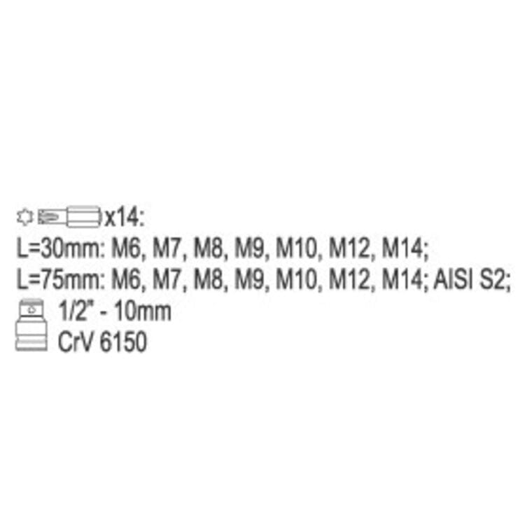 YT-0419, Набор специальных бит 1/2" RIBE M6-M14 L30мм, 75мм (15шт),
Набор специальных бит 1/2" RIBE M6-M14 L30мм, 75мм (15шт) в металлическом кейсе